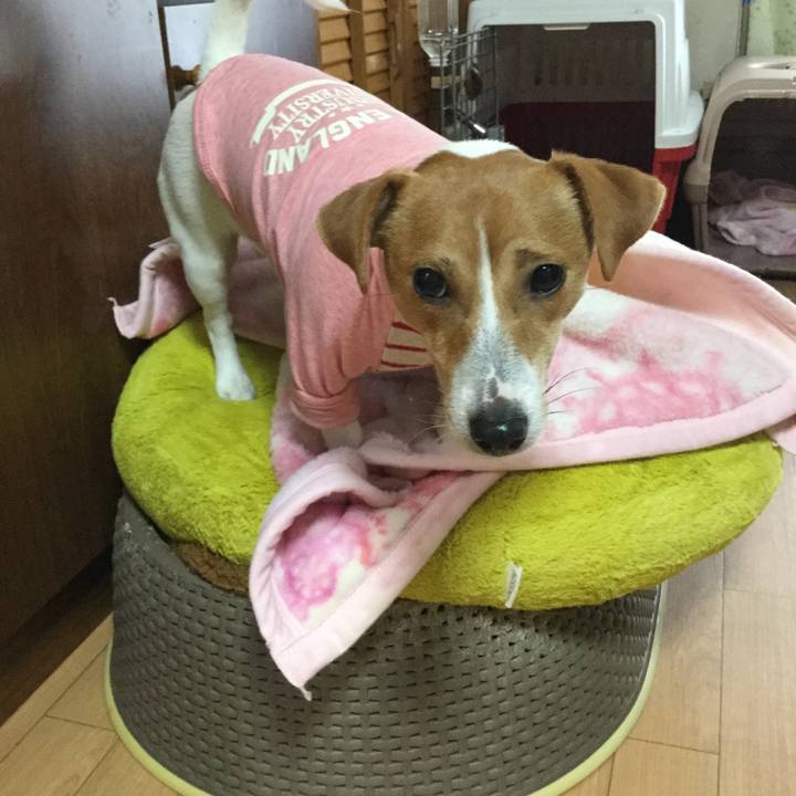 21826db5 555e 49ce 95ee 5cf34e4cc17c