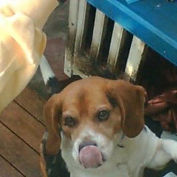 2182edc6 d8b9 4bd2 a1c7 510757040da0