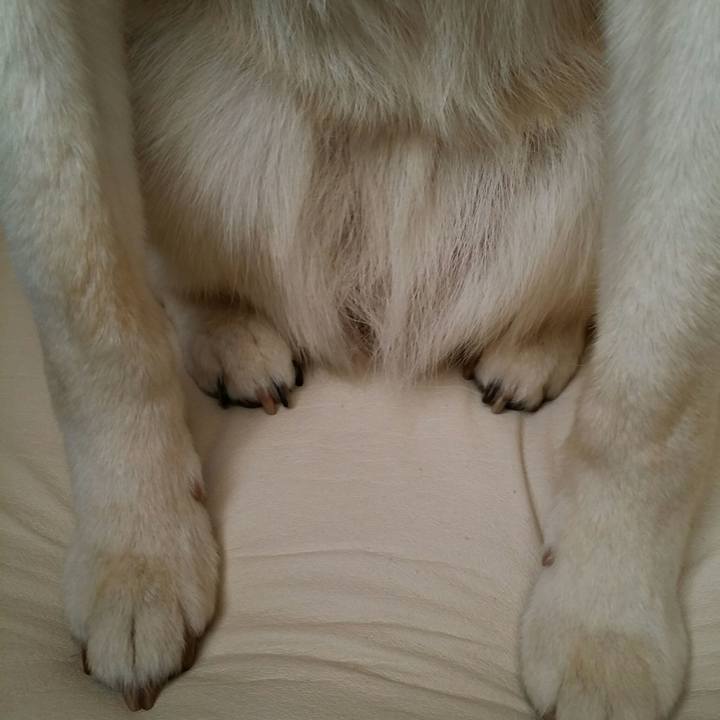 2183dd0b faaf 4fa4 a12c 9870f7754b0e