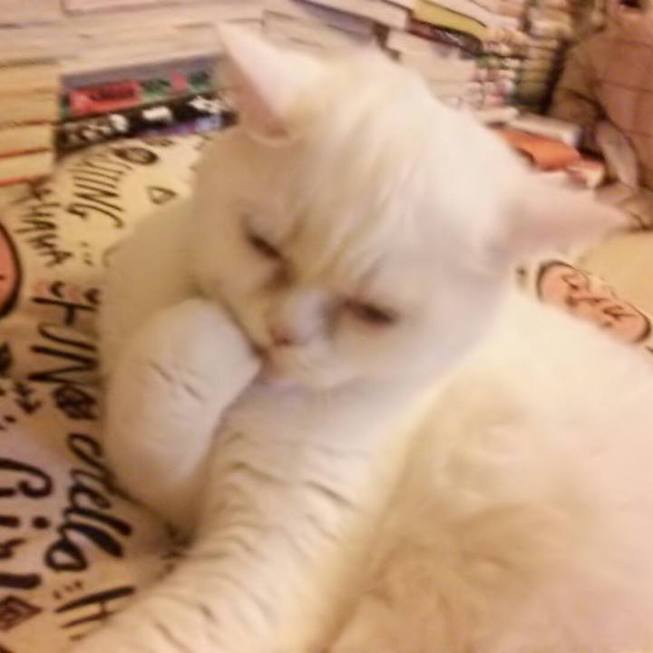 2183fa44 e115 4492 935a 8ca4efa0d1a9