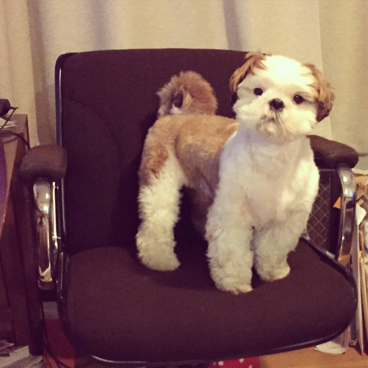 2184077b 1893 47e4 bb9b 9d9190c446ef