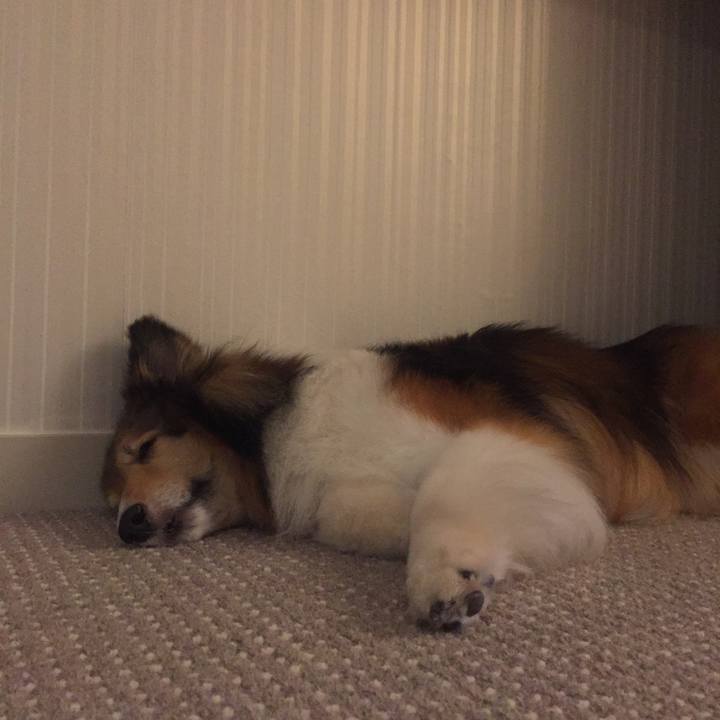 21841d94 150d 453d 9cfb 4bcbedd32c3d