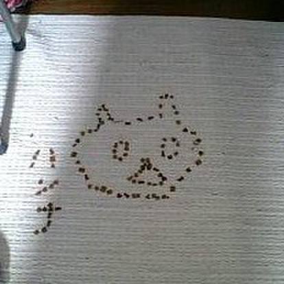 2184454e 730e 47ff 8497 c601c0907066