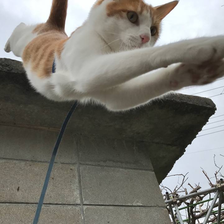 21848cec 263c 44bc 8e41 b85c760ac528