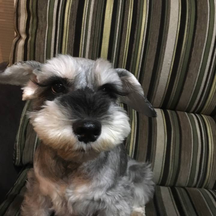 2184cedc a8cd 43b6 a0a6 4020af479bc3