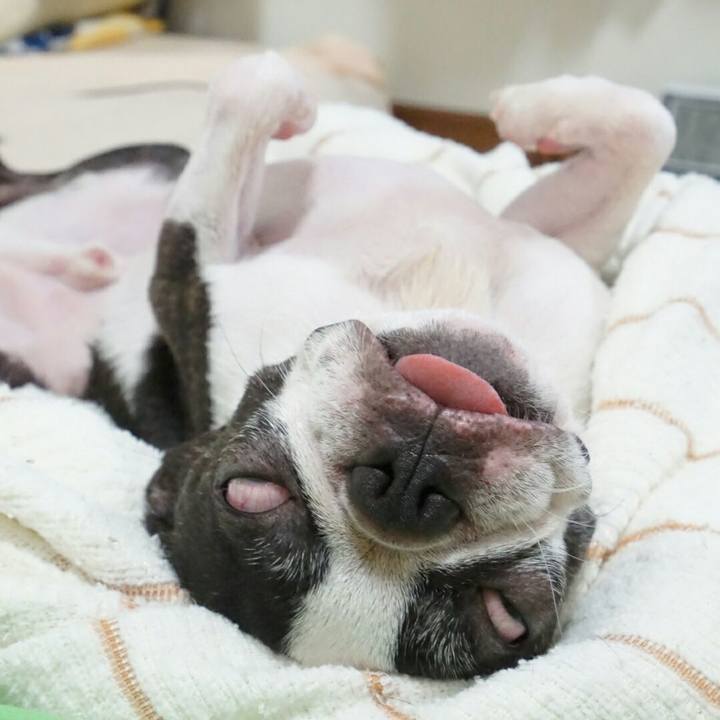 2185169e cea9 4052 a6ae 4d8cba1f5f64