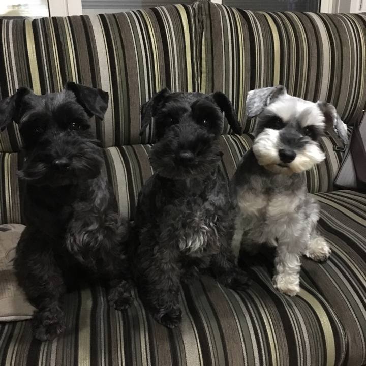 21853064 48ce 4e68 ae60 383146101dd8