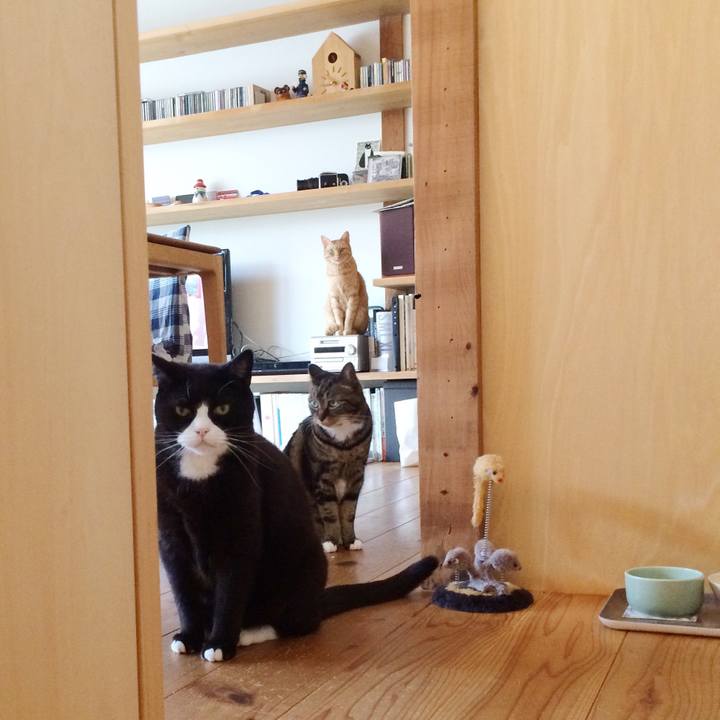 21853d30 3dfb 4015 8e6c dcaf48101a09