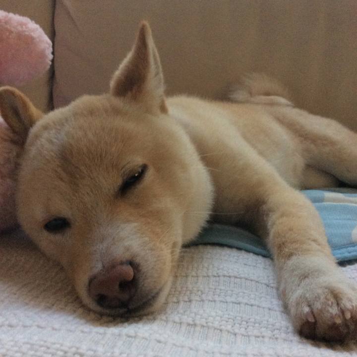 2185abf7 fde9 48bd 843c ca8b5d1d01f4