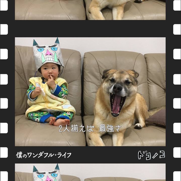 2185d1fa 8e51 4368 8af1 e8acc10a2b81