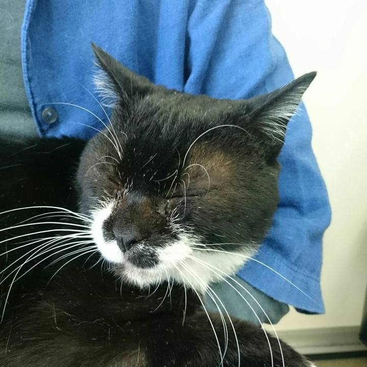 2186594c 55a6 4bd9 82e1 ad494296bf32