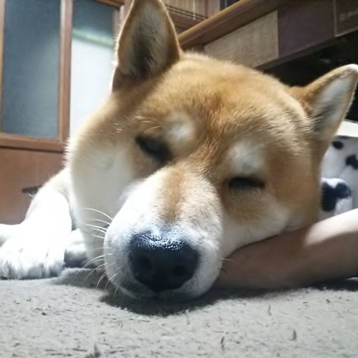 2187146b e8a9 453a bddd 5eefdea6da71