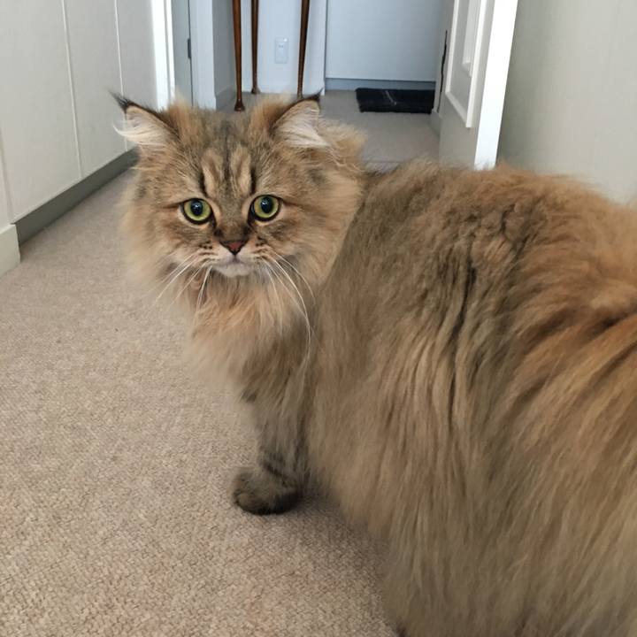 21874af7 9083 445d b93f d132314d913b