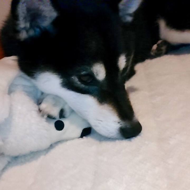 2187c888 cd96 4cfd b4db 827d234583ba