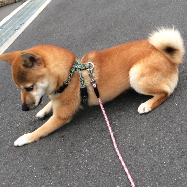 21885f5b e703 45ca a7f0 660fa5b254d6