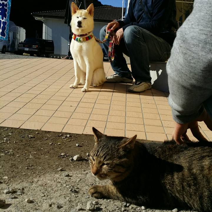 21897d25 d6d0 4187 8bfe b38e7d21f1b8