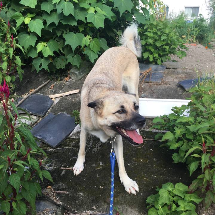 21898c57 559d 43aa a971 df4b58ba2ecf