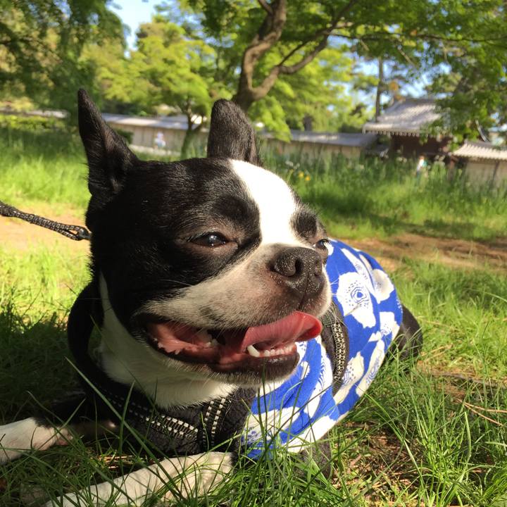 2189994e 94df 4b6c a231 dc7331525f7b