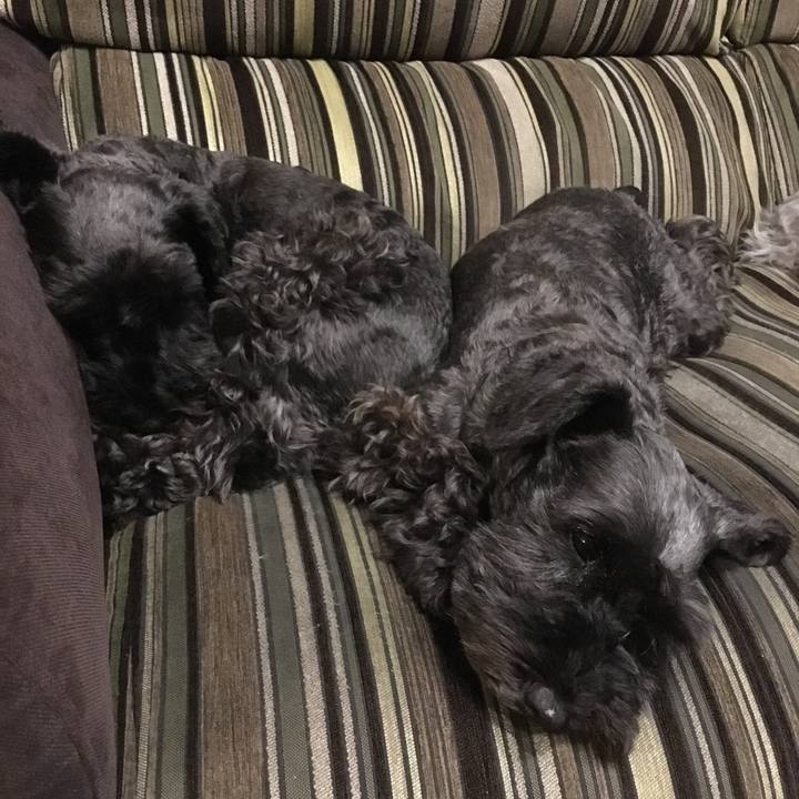 2189ed82 daa4 4700 903e 379a1fdd04ba