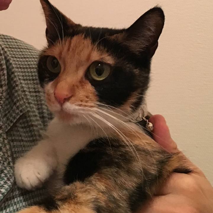 218c4270 43d6 4eb2 9919 48835a180733