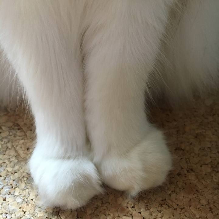 218c4d54 eb60 438f 8b39 da9d014a8cf9