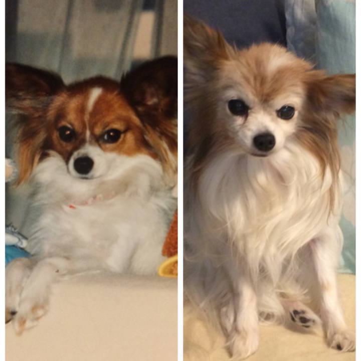 218c555d b111 4cbb a6c3 dc367d394d05