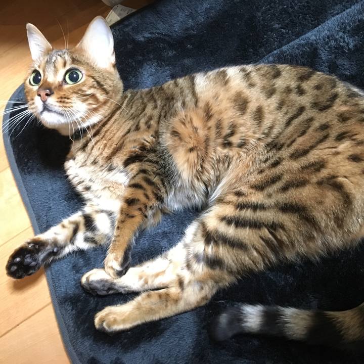 218d0044 cddd 4e01 b211 a69dc58a35b1