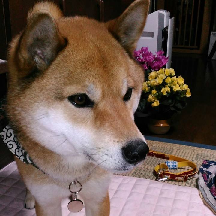 218dd5af 7098 4314 be21 2e49c9cfaafe