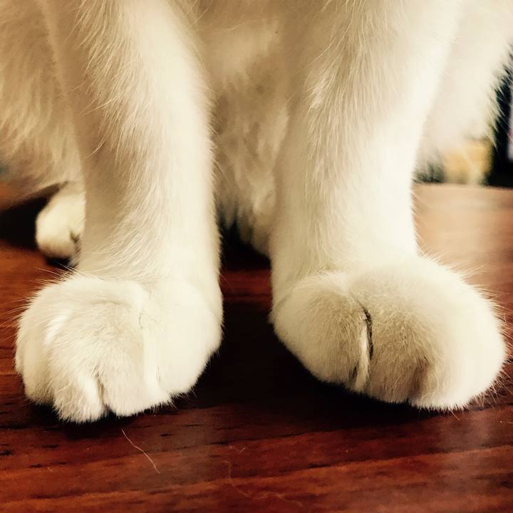 218e4ae5 4dbd 4153 b1f3 ccccfb1734d7