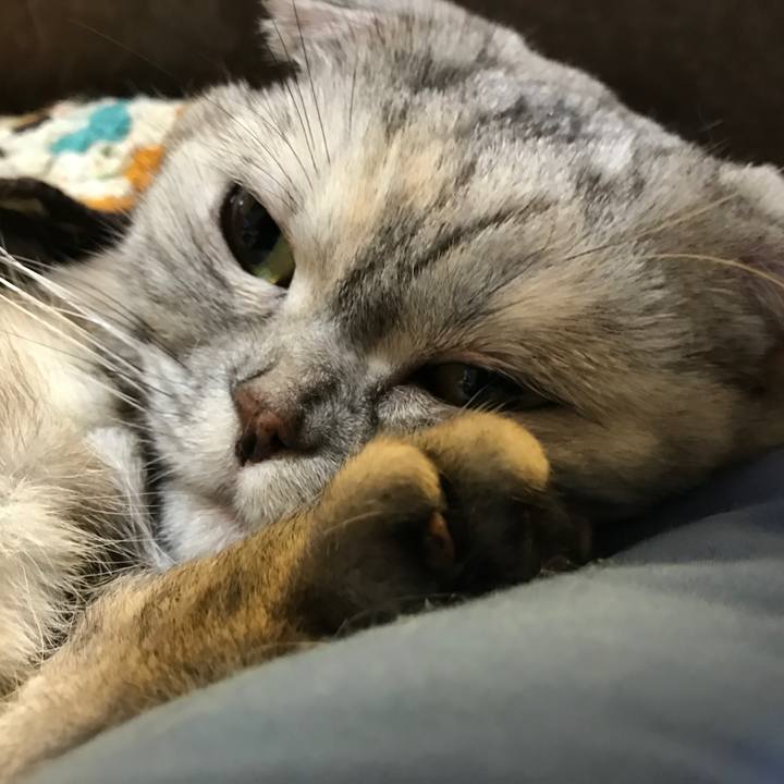 218eb0aa ac0b 4021 a91f 41936ee44543