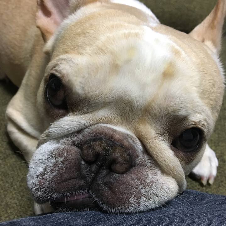 218ed7cd 4307 4228 9a1f dbcc65575f22