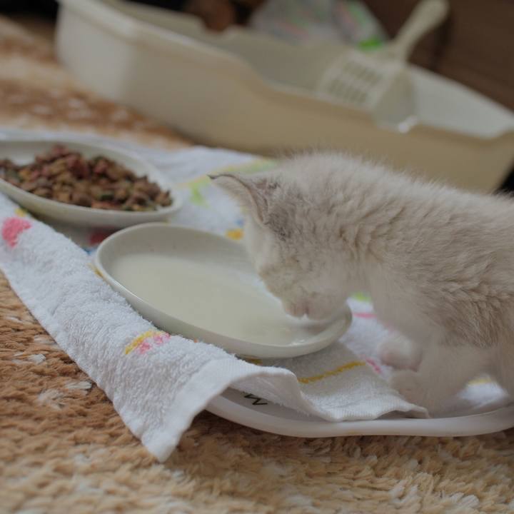 218ef12b 5318 4e79 bc22 b5b306291ae4