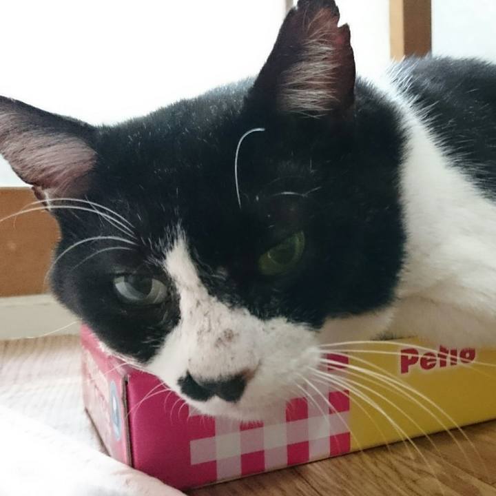 218f6e8b 20b6 44bf 8d3d f9717b44fdef