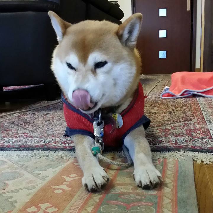 218f835d 4bc4 4c15 a5fa d3584cf40168