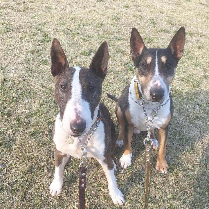 2190577d 2373 438c 8bfa 0d433e463085