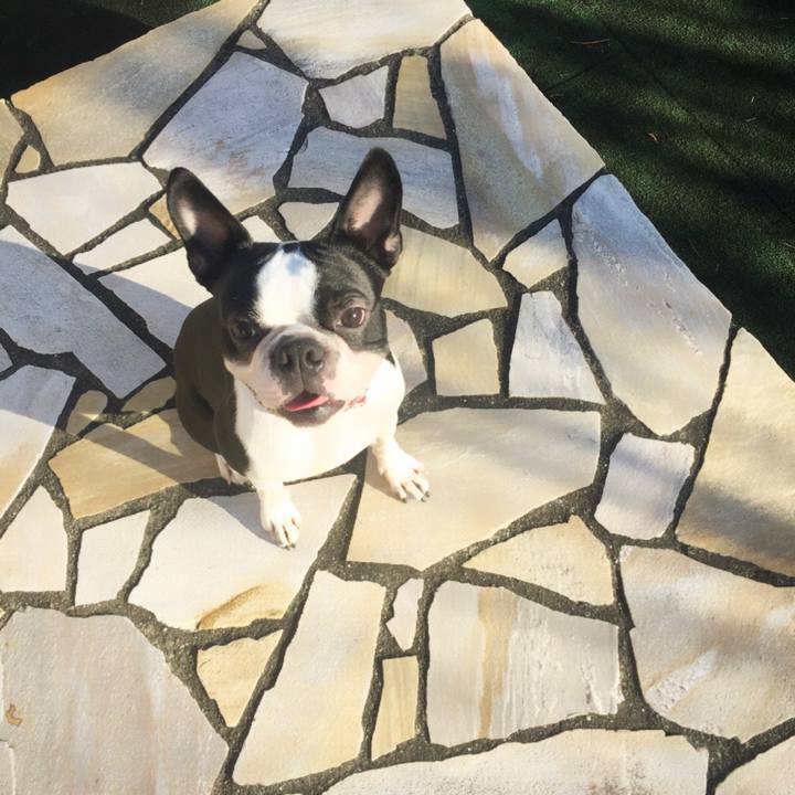 2190b695 9903 415d 9f90 7a8f4a4f9671