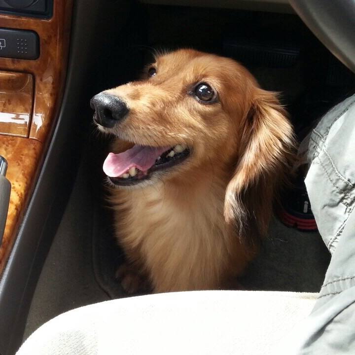 2190bdd2 f5b5 4d83 98bd d281367f839a