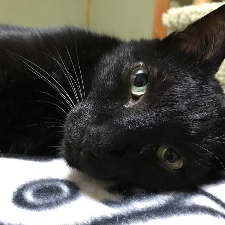 2190d6f1 0b73 4f96 a761 afa3848efa51