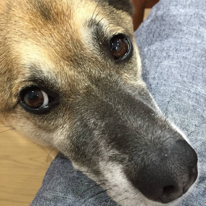 21910219 eaa0 4fda 8ca7 57821368b5cb