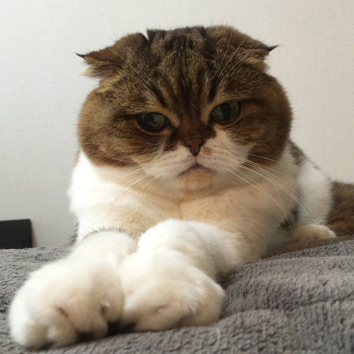 2191e72e 2d51 4538 8565 55cc02f8016a