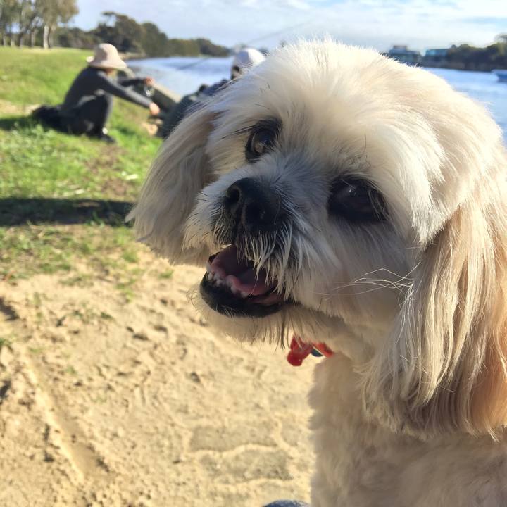 2192af9a d64a 4222 8155 f63990beb4a2