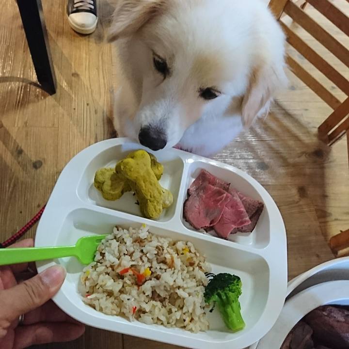 2192ffb2 3eef 4e42 9810 60f926f7ed75