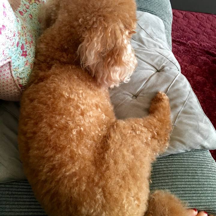 219379a6 a831 4572 9b8a d1a89df28d1a