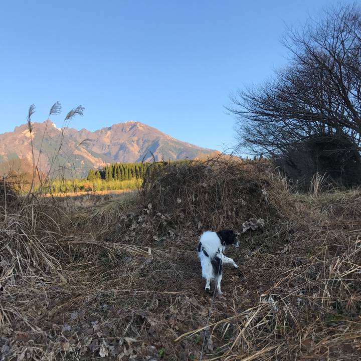 2193f994 1329 4891 8b6c ca0d2f2b87fe