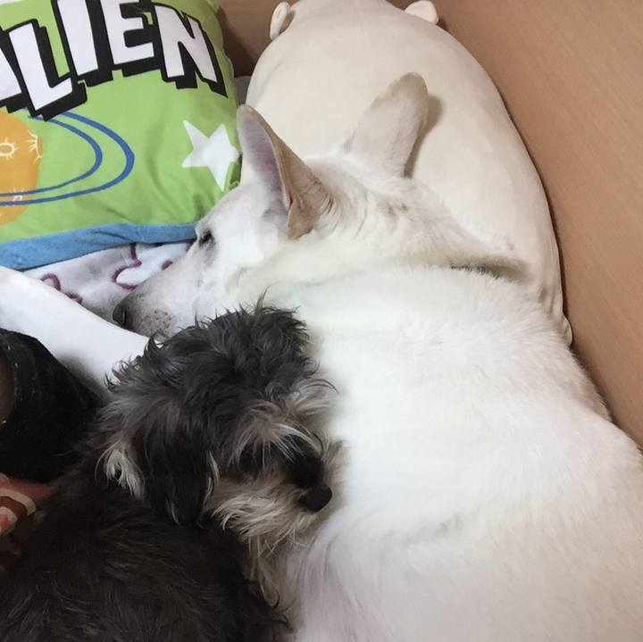 2194359d 2705 40a8 a72b 781b49038e69