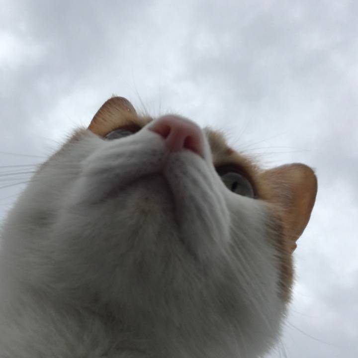 219465b6 f154 40d7 b88e 6e6d5c0085e7