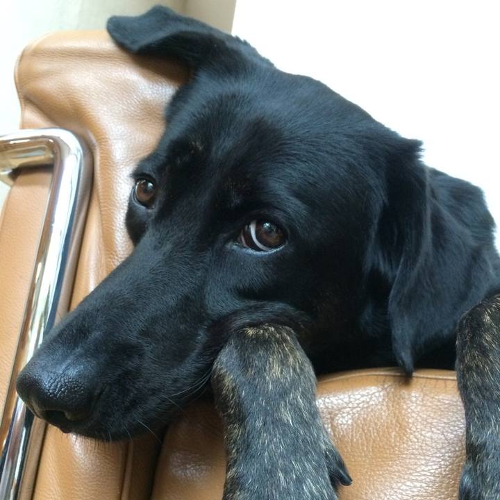 2194d042 7345 4cb3 8721 848e263334c4