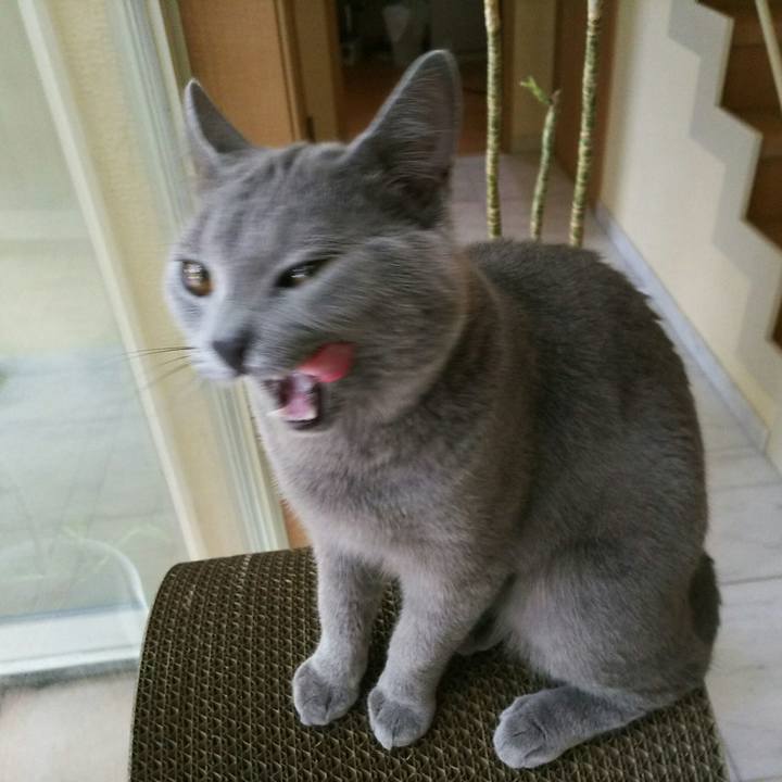 21950fc9 c9e5 4f01 a077 7dcdb1de2b49