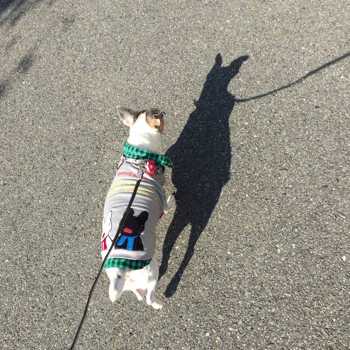 21951ab0 e9ba 431f a61f 26ac6053d485