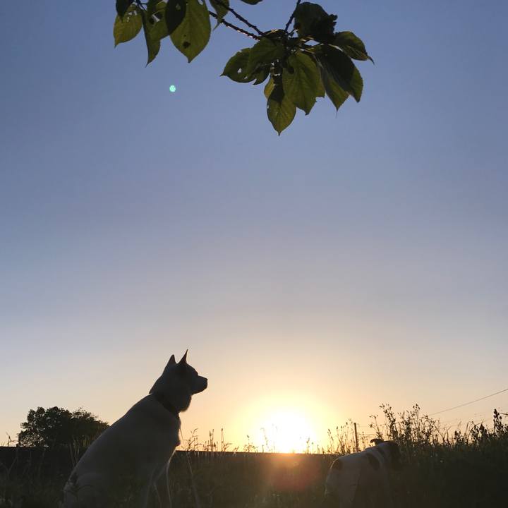 21957ac3 28bb 4f14 936b 64103a31dd24